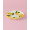 PLATO RALLADOR LIMONE