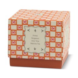 Tulip Vela de Cristal Cactus Flower Paddywax – floral exótico fresco