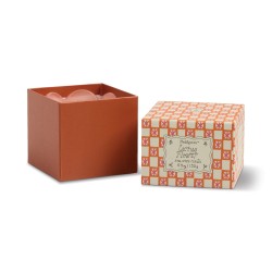 Tulip Vela de Cristal Cactus Flower Paddywax – floral exótico fresco