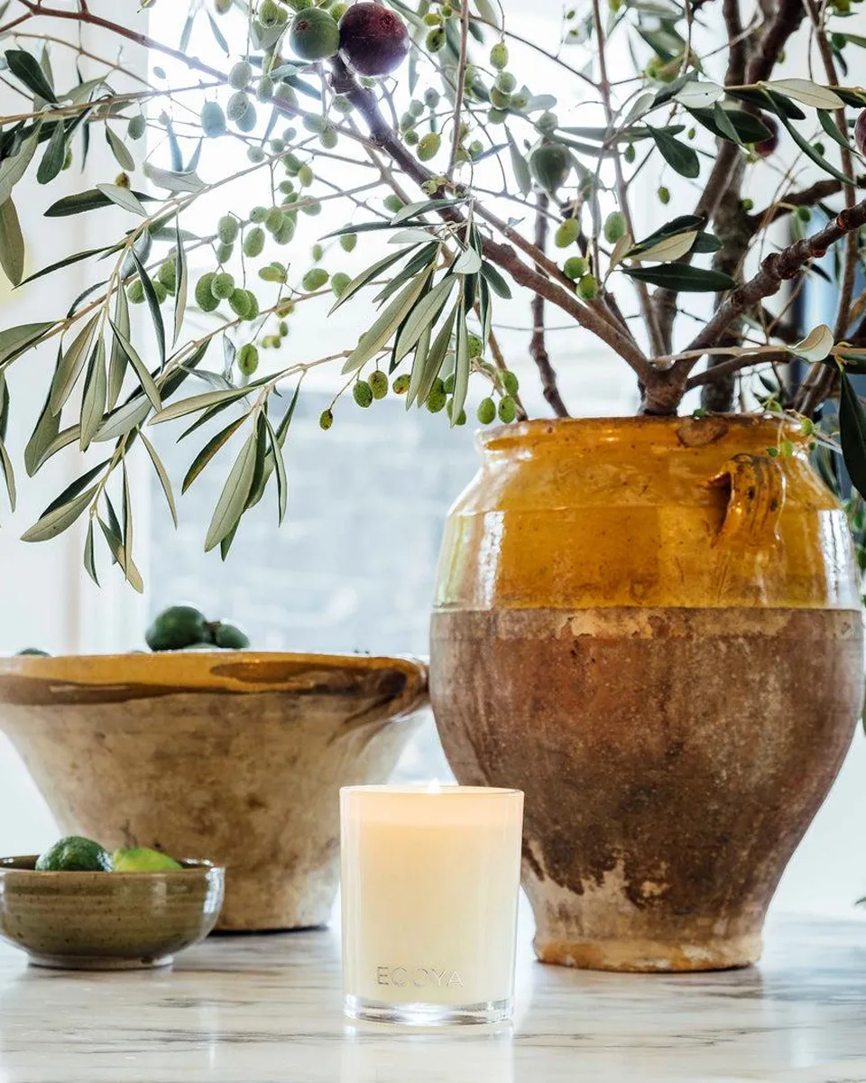 Velas y aromas Clicky